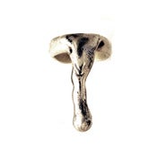 Image of drip ring