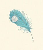 Image of A Feather