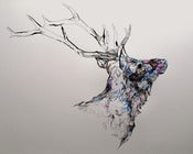 Image of Mineral Stag MMXIII 