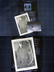 Image of Calin Kruse: About 9 m² full of dog shit (and piss)